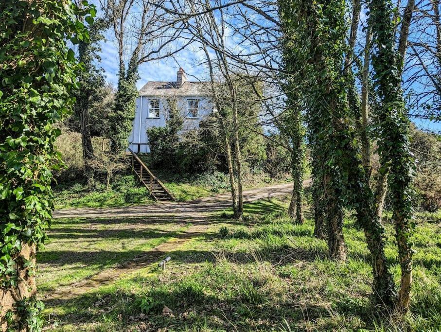 Romantic Secluded Hideaway Cottage In Cornwall Truro Exterior photo